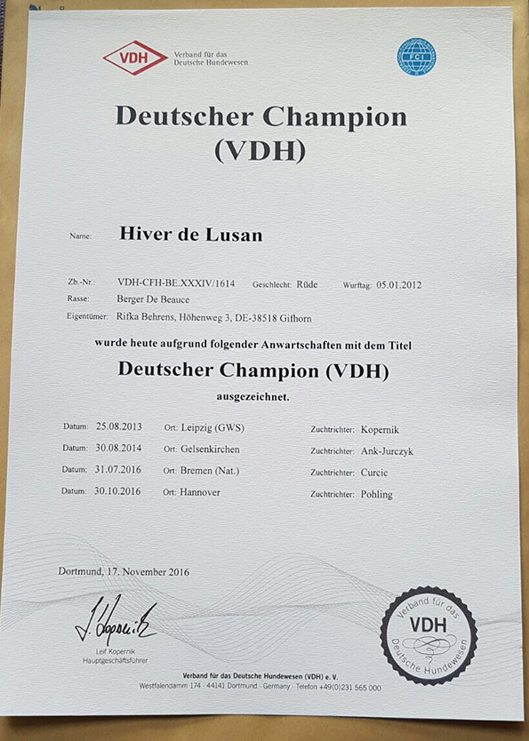 Hiver VDH Champion